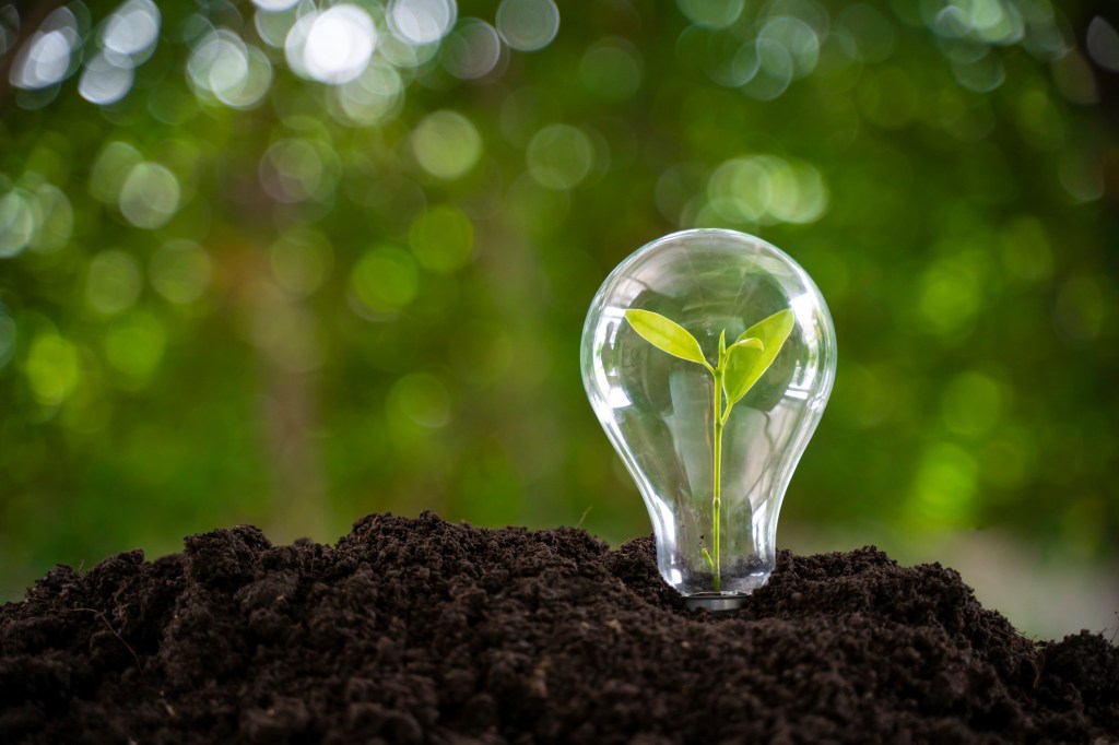 Every Day Can Be Earth Day